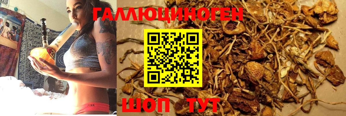 Галлюциногенные грибы Magic Shrooms  наркошоп  Псилоцибиновые грибы ЛСД  Георгиевск  Вход с VPN 