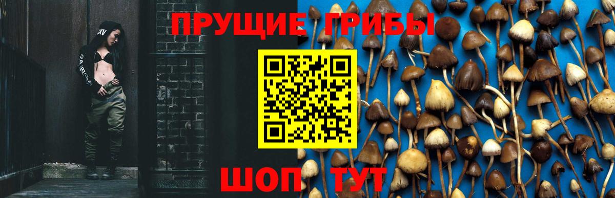 Псилоцибиновые грибы MAGIC MUSHROOMS Георгиевск